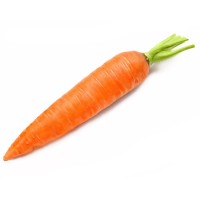 _carrot _carrot.jpg